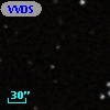 VVDS 220289752