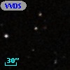 VVDS 220289767