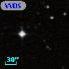 VVDS 220289922