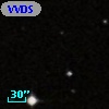 VVDS 220291387