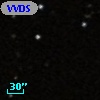 VVDS 220293203