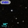 VVDS 220295088
