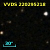 VVDS 220295218