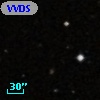 VVDS 220299453