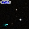VVDS 220300264