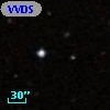 VVDS 220300826