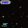 VVDS 220301037