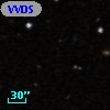 VVDS 220301601