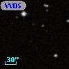 VVDS 220302557