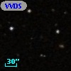 VVDS 220302563