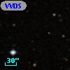 VVDS 220303032