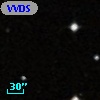 VVDS 220303605