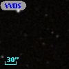 VVDS 220303819