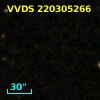 VVDS 220305266
