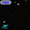 VVDS 220305797