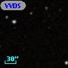 VVDS 220307280