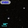 VVDS 220308713