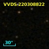 VVDS 220308822