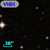 VVDS 220309946