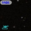 VVDS 220310081