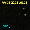 VVDS 220310173