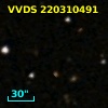 VVDS 220310491