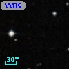 VVDS 220325498