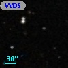 VVDS 220325736