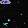VVDS 220325788