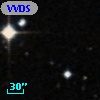 VVDS 220325989