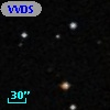 VVDS 220327288