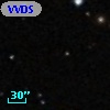 VVDS 220327386