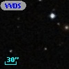 VVDS 220328462