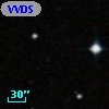 VVDS 220328879