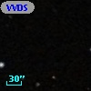 VVDS 220330019