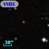 VVDS 220330318