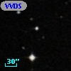 VVDS 220330885