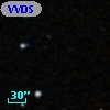 VVDS 220331196