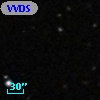 VVDS 220331205