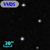 VVDS 220331829