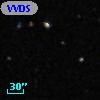 VVDS 220332473