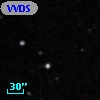 VVDS 220332704