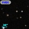 VVDS 220332831