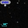 VVDS 220332960