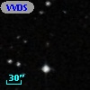 VVDS 220334483