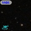 VVDS 220334532