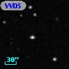 VVDS 220334608