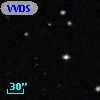 VVDS 220334897
