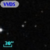 VVDS 220335265