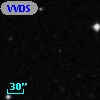 VVDS 220335272